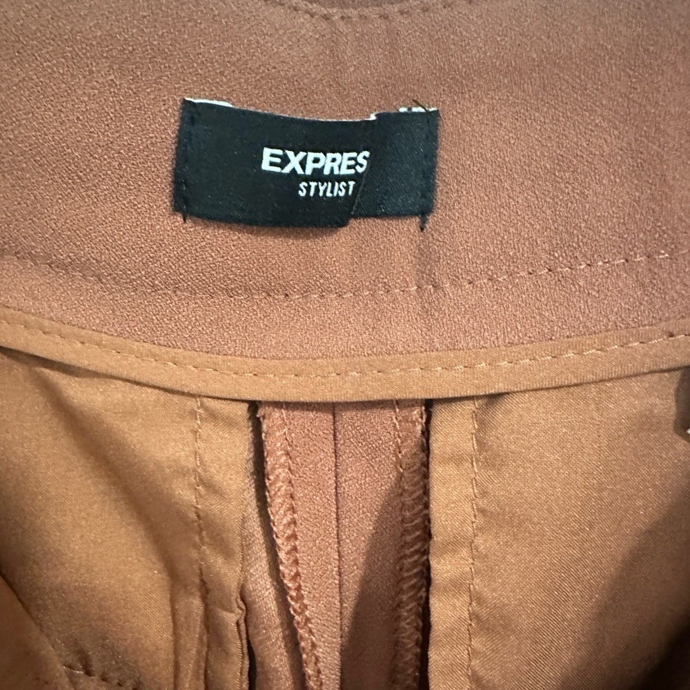 Express Terracotta Pleated Trousers | Women's Size 2 | High-Waist Dress Pants - Picture 2 of 6